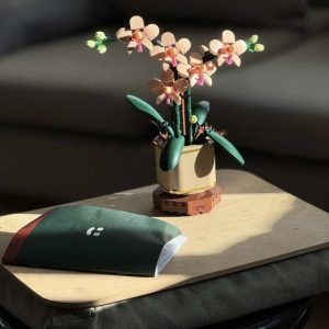 گلدان لگویی ارکیده